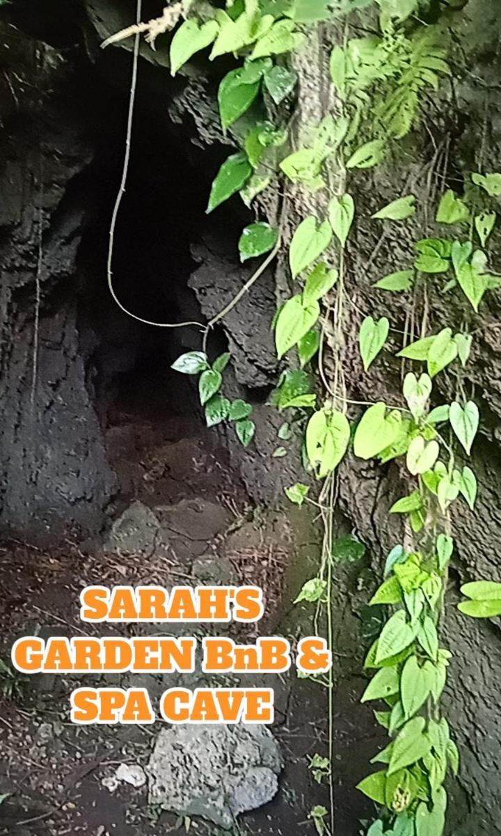 Sarah'S Garden Bnb & Spa Bed and Breakfast Clarin  Εξωτερικό φωτογραφία