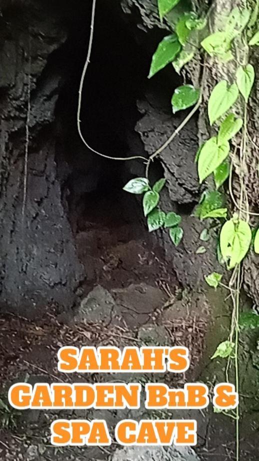 Sarah'S Garden Bnb & Spa Bed and Breakfast Clarin  Εξωτερικό φωτογραφία